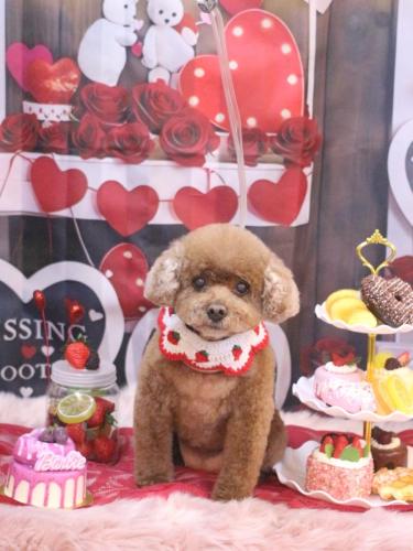 20250209フーちゃん